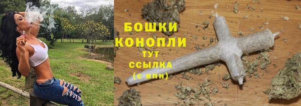 МДПВ Бронницы