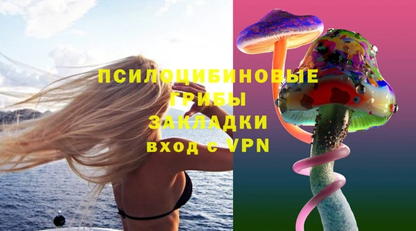 крисы Богородск