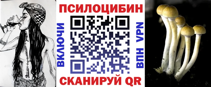 где купить наркотик Бежецк Псилоцибиновые грибы Magic Shrooms